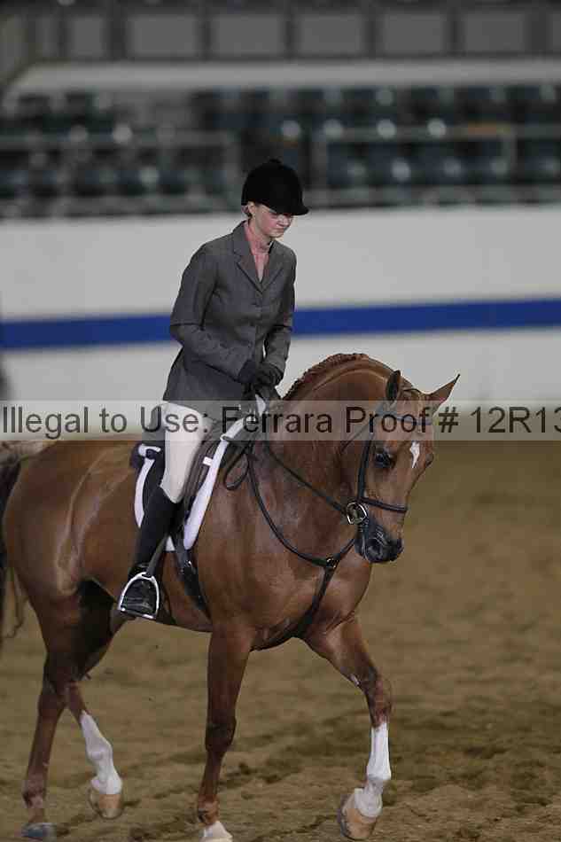 Proof Number 12r13_3333