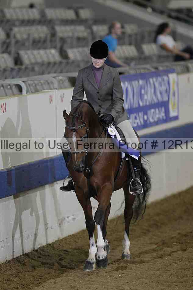 Proof Number 12r13_3334