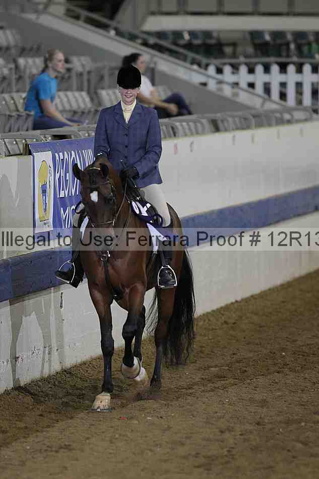 Proof Number 12r13_3338