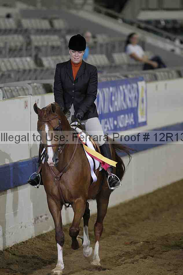 Proof Number 12r13_3341