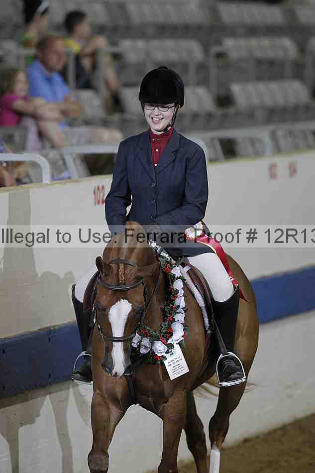 Proof Number 12r13_3382