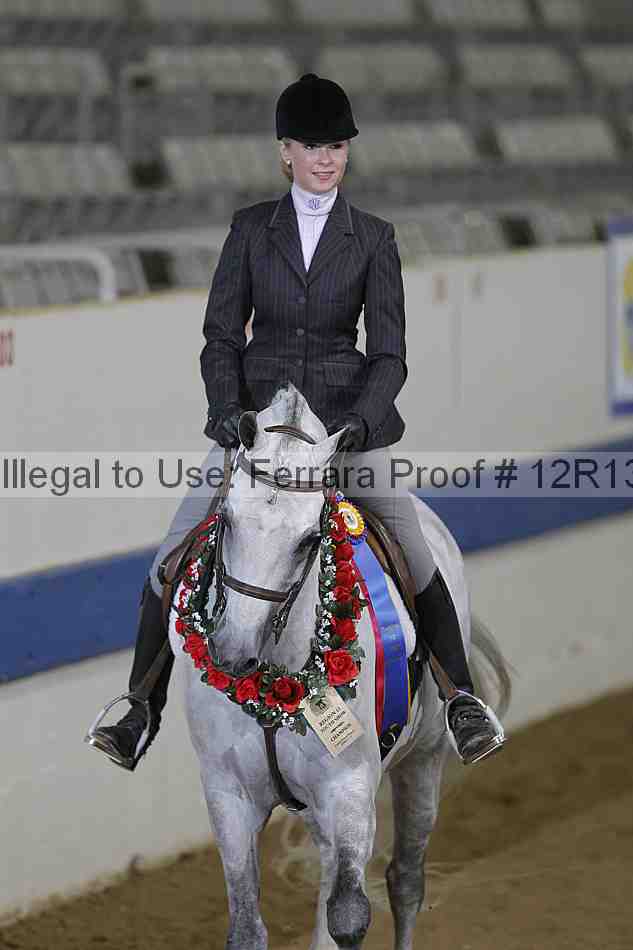 Proof Number 12r13_3389