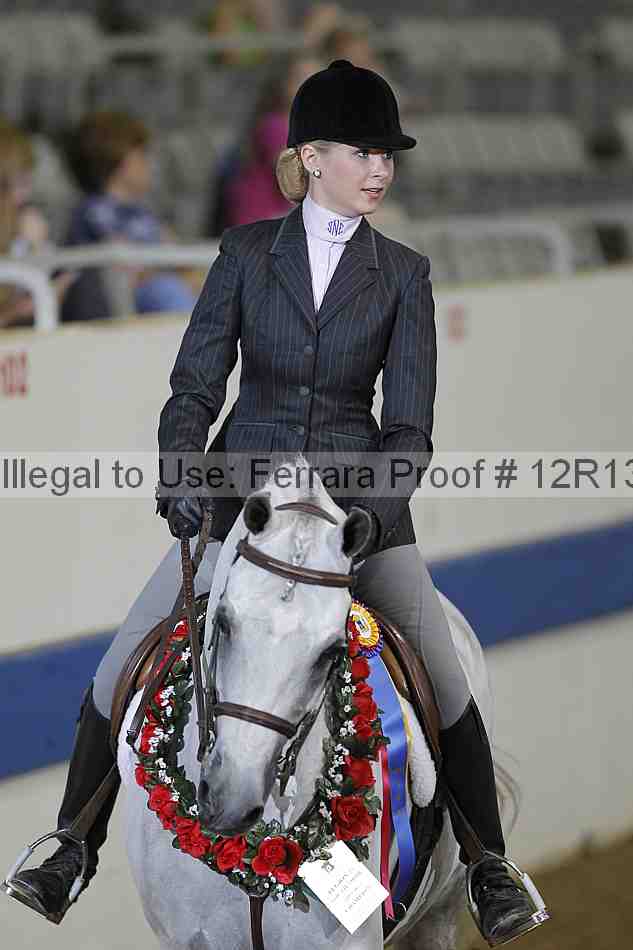 Proof Number 12r13_3390