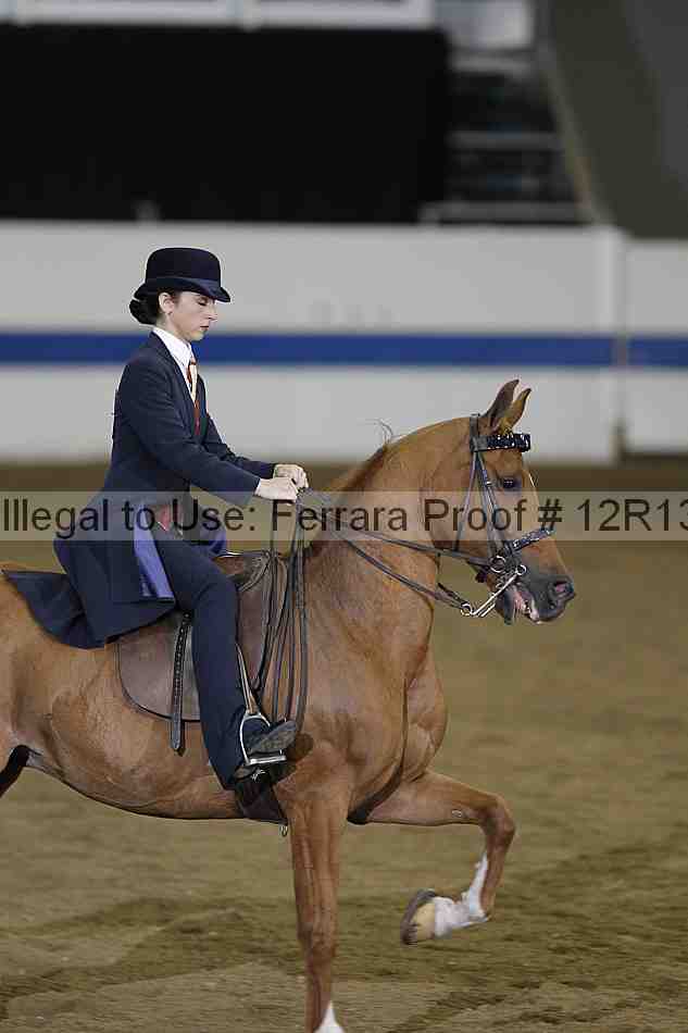 Proof Number 12r13_3399