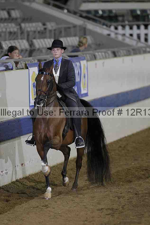 Proof Number 12r13_3402