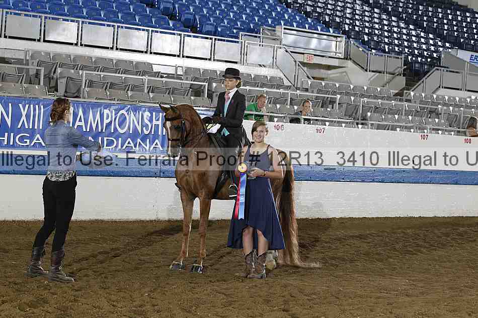 Proof Number 12r13_3410