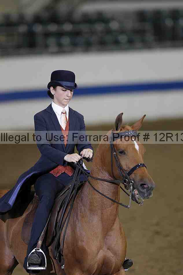 Proof Number 12r13_3415