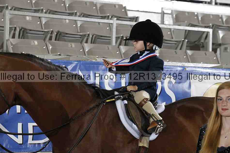 Proof Number 12r13_3495