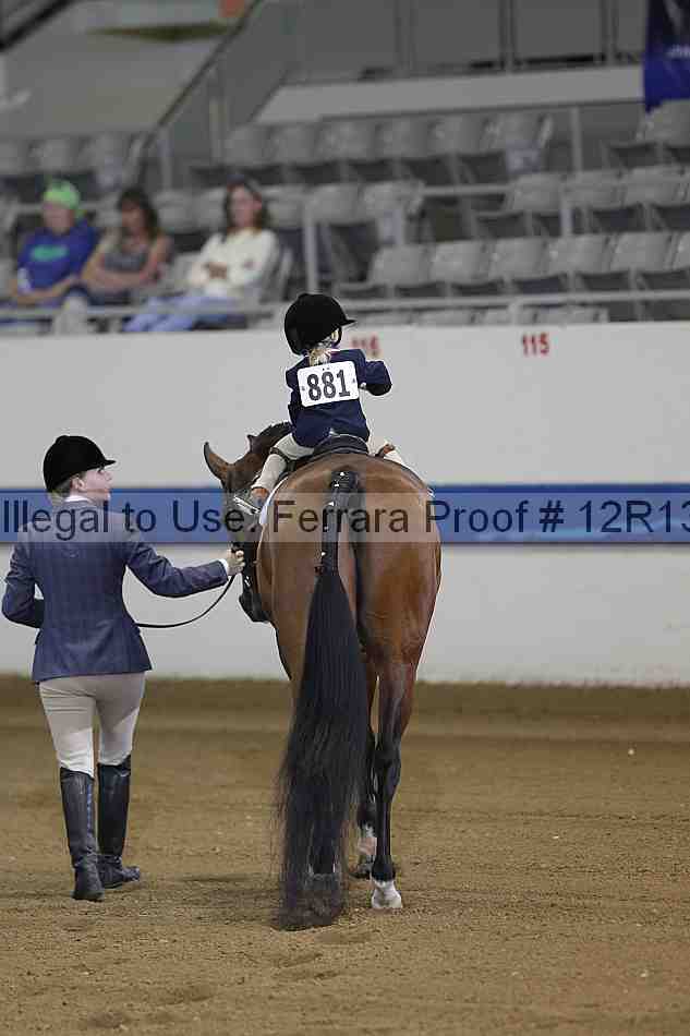 Proof Number 12r13_3505