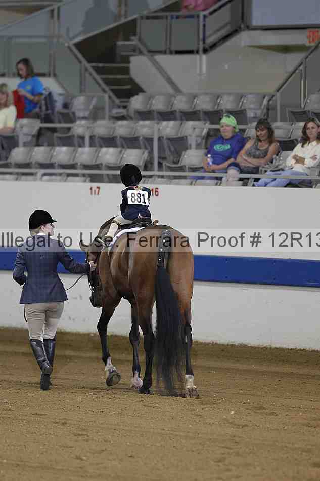 Proof Number 12r13_3507