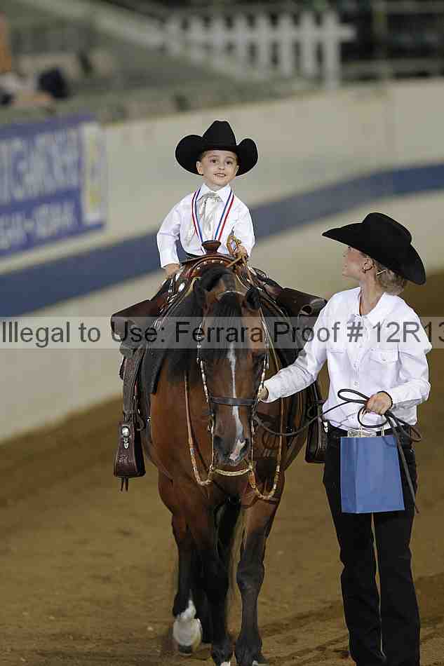 Proof Number 12r13_3514
