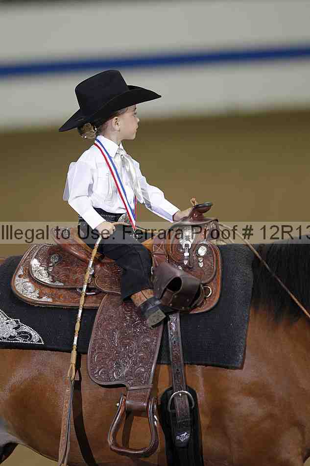 Proof Number 12r13_3517