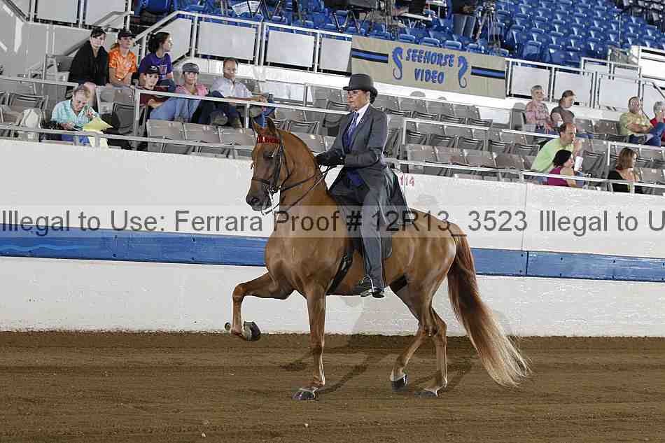 Proof Number 12r13_3523