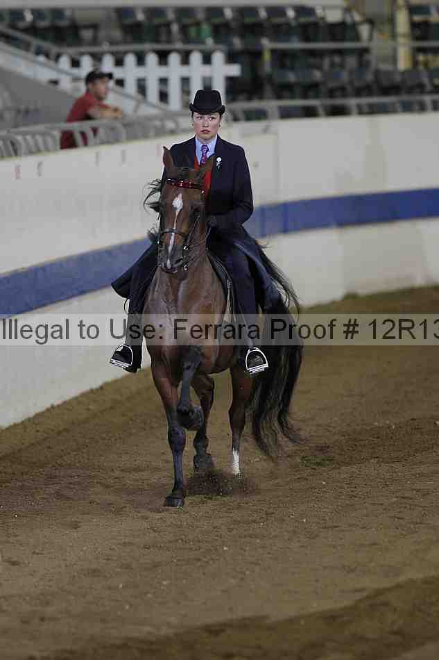 Proof Number 12r13_3545