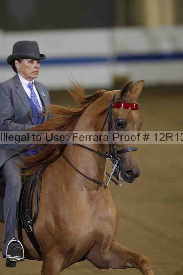 Proof Number 12r13_3548