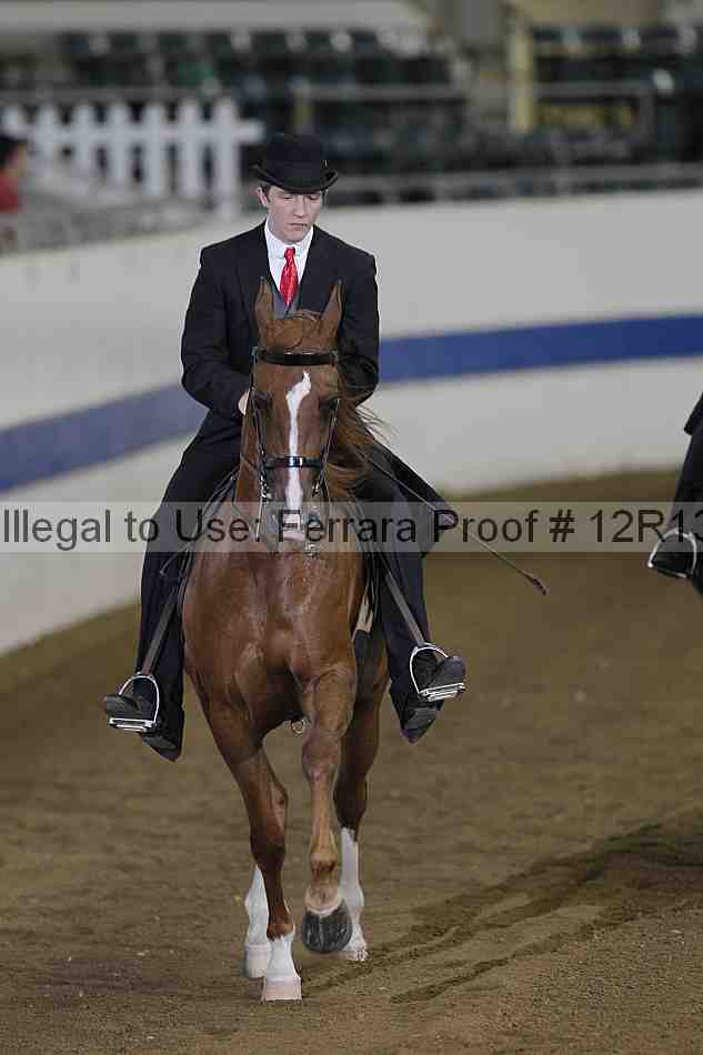 Proof Number 12r13_3554