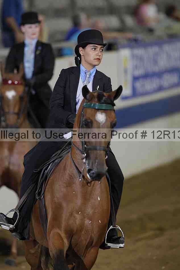 Proof Number 12r13_3560