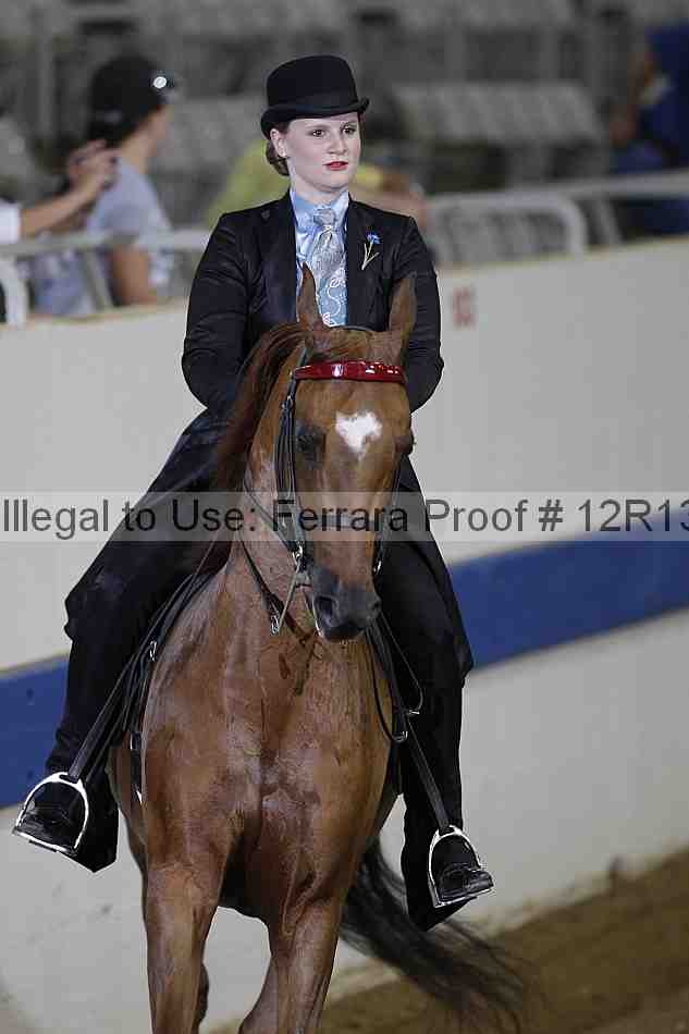 Proof Number 12r13_3561