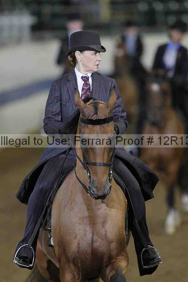 Proof Number 12r13_3583