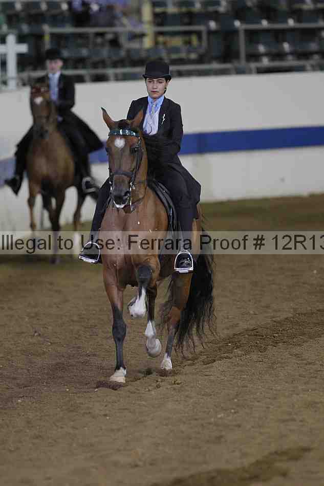 Proof Number 12r13_3596