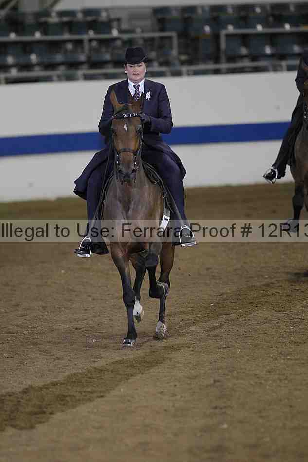 Proof Number 12r13_3597
