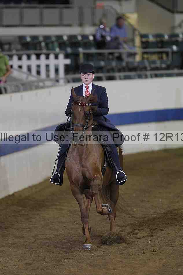Proof Number 12r13_3603