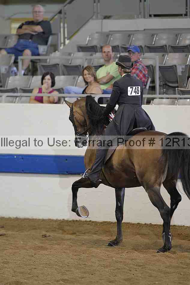 Proof Number 12r13_3608