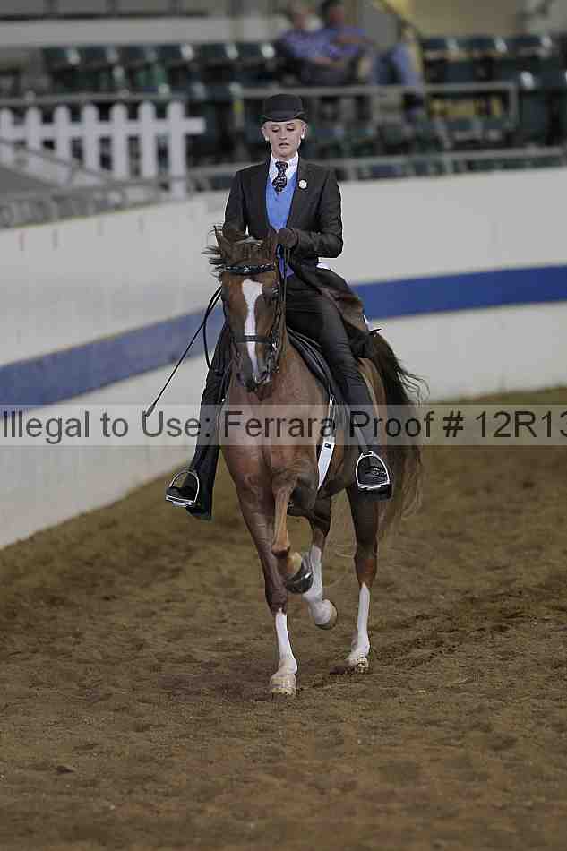 Proof Number 12r13_3613