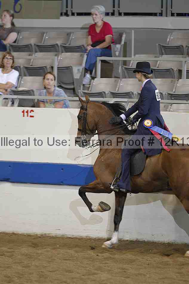 Proof Number 12r13_3629