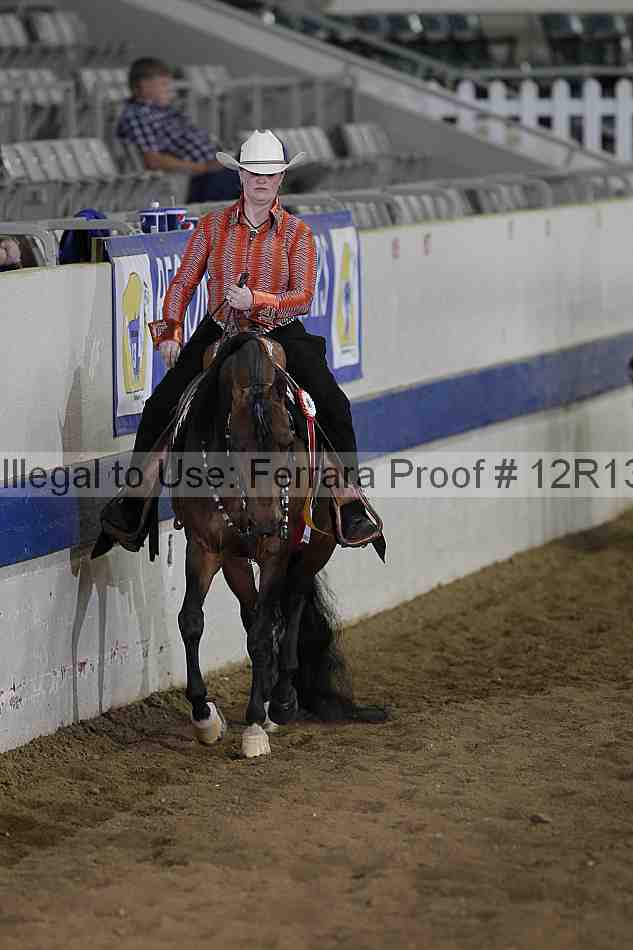 Proof Number 12r13_3645