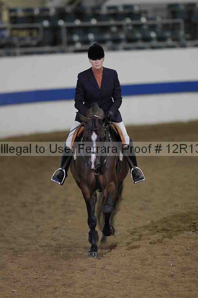 Proof Number 12r13_3701
