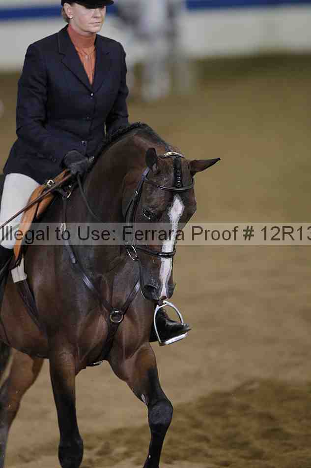 Proof Number 12r13_3703