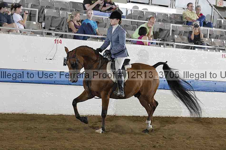 Proof Number 12r13_3705