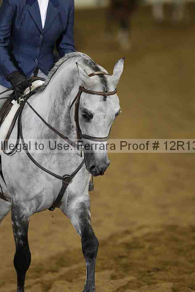 Proof Number 12r13_3711