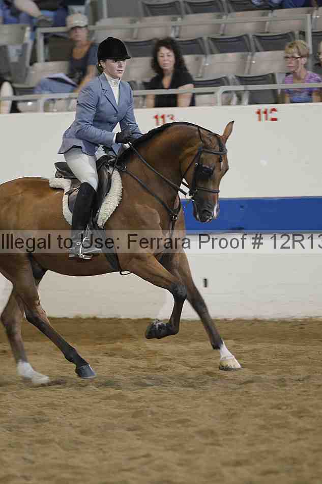 Proof Number 12r13_3722