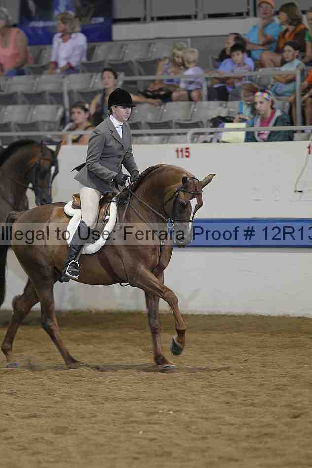 Proof Number 12r13_3733