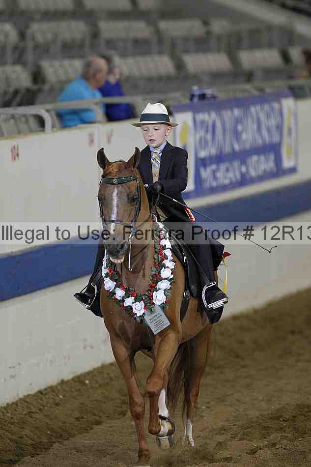 Proof Number 12r13_3783