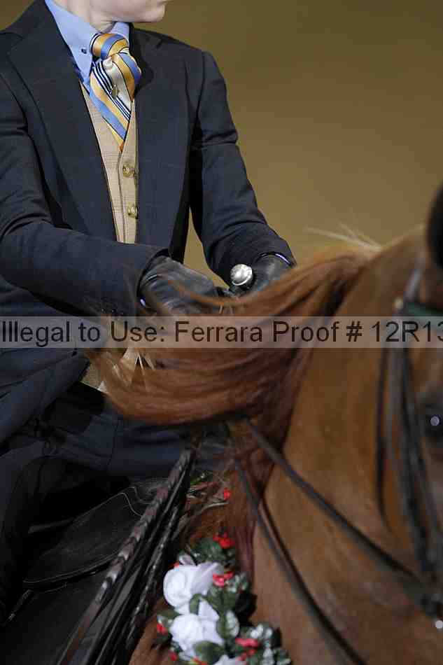 Proof Number 12r13_3785