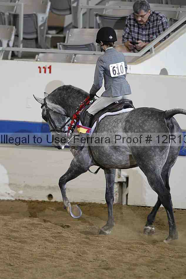 Proof Number 12r13_3806