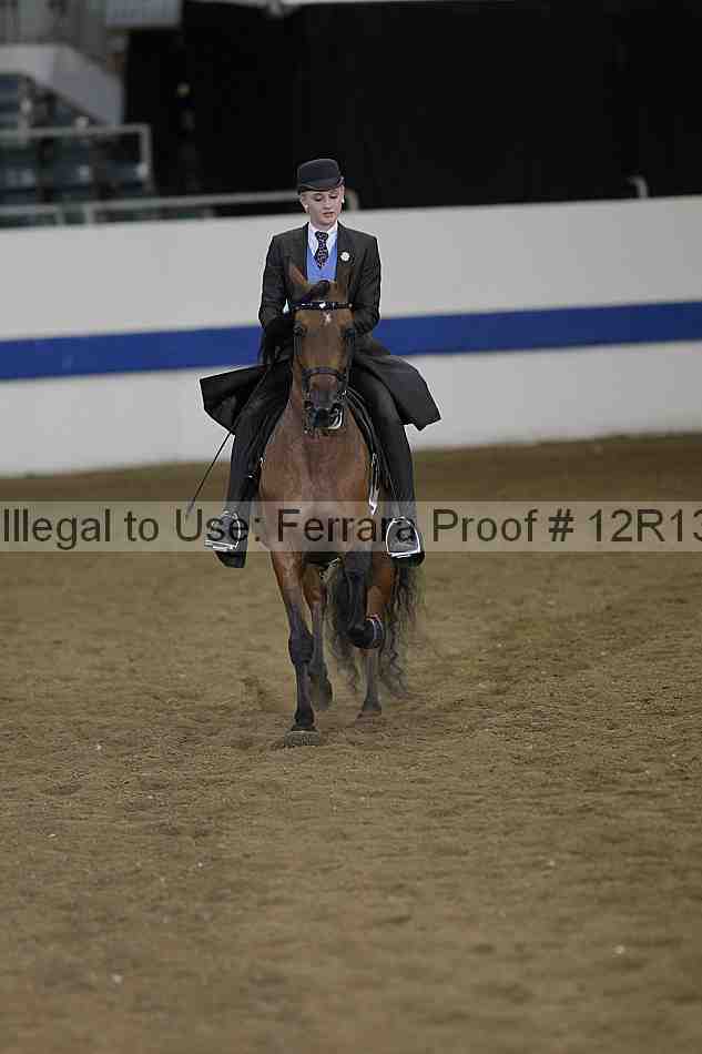 Proof Number 12r13_3833