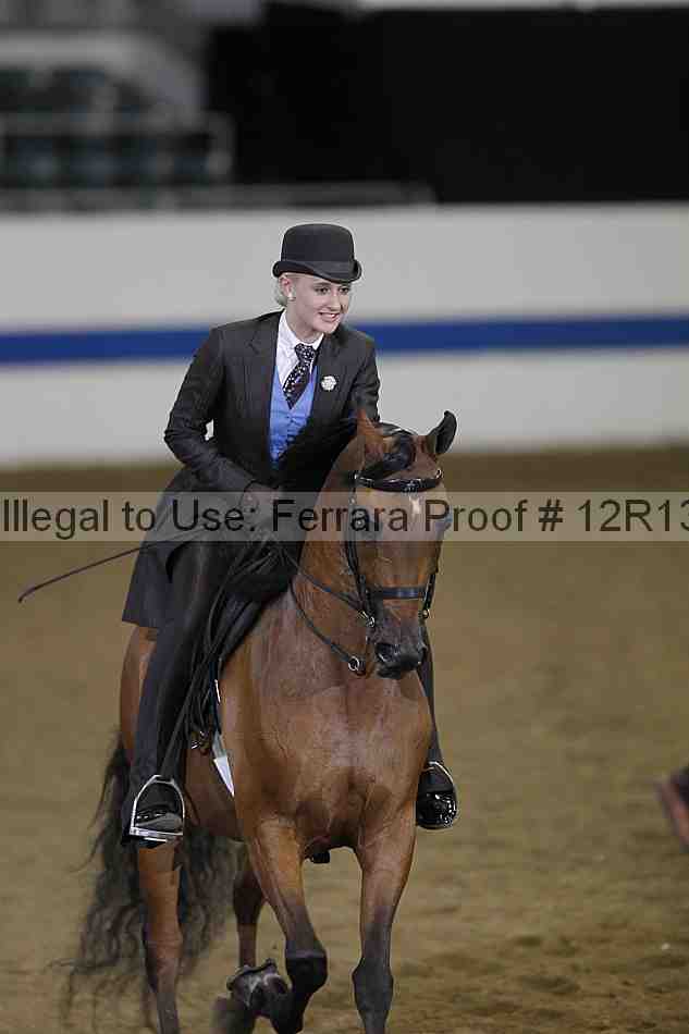Proof Number 12r13_3843