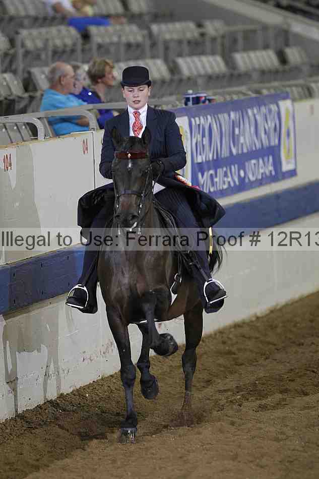 Proof Number 12r13_3853