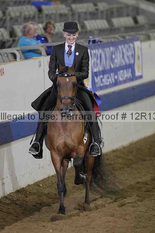 Proof Number 12r13_3855