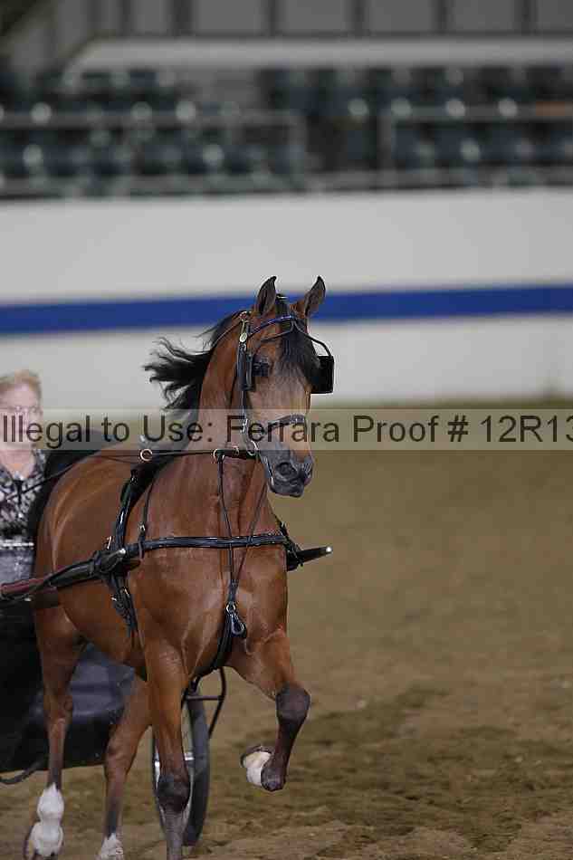 Proof Number 12r13_3866