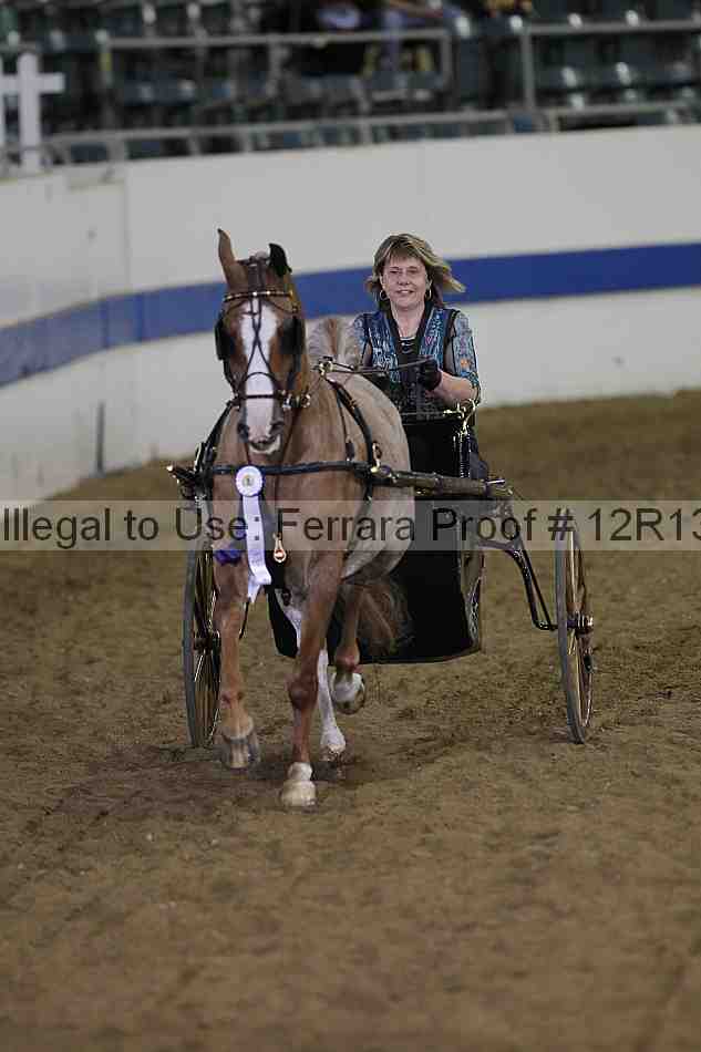 Proof Number 12r13_3884