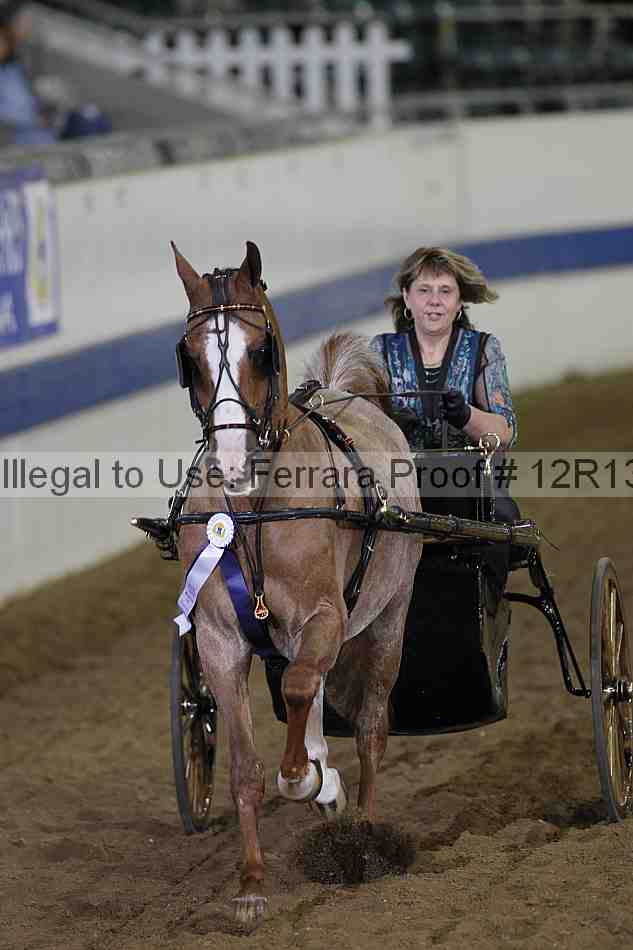 Proof Number 12r13_3885