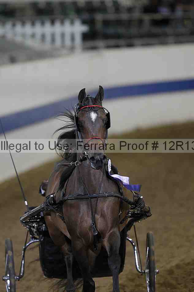 Proof Number 12r13_3887