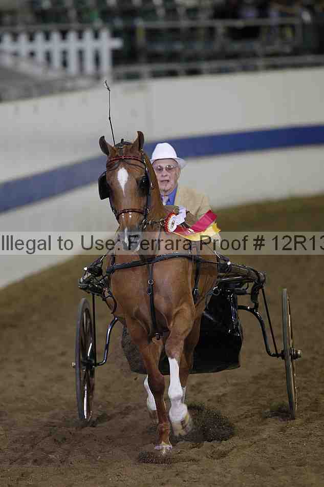 Proof Number 12r13_3890