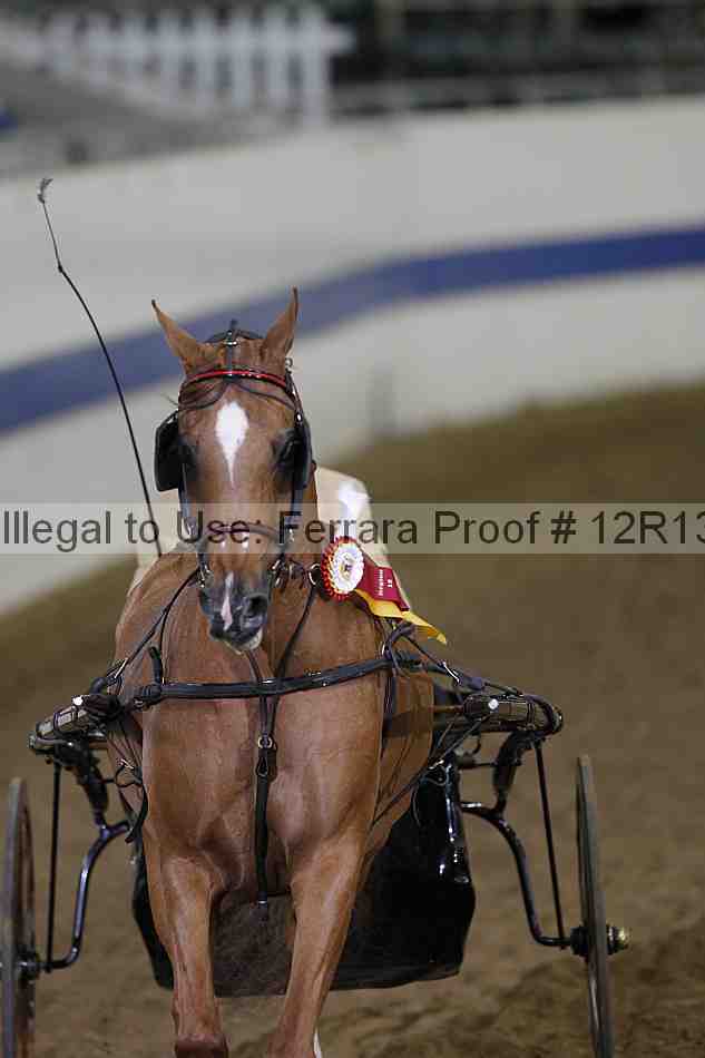 Proof Number 12r13_3891