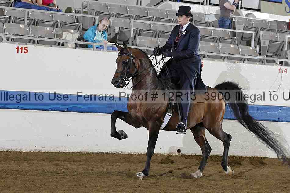 Proof Number 12r13_3900